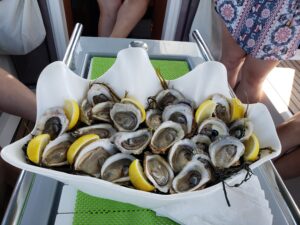 Oysters
